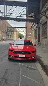 User picture