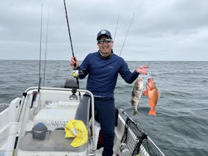 Submission Jigs - Ogre - Middleweight Division