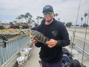 Submission Jigs - Micro Sumo and Mercenary - Lightweight Division