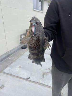 Submission Jigs - Micro Sumo and Mercenary - Lightweight Division