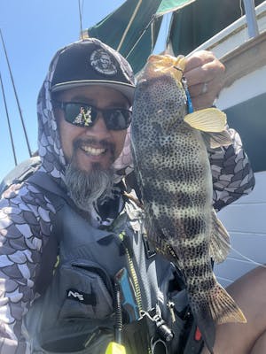 Submission Jigs - Micro Sumo and Mercenary - Lightweight Division