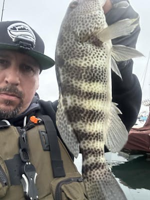 Pro Packs & Gift Sets for the Best Fishing - Slow Pitch Jigs and Hooks