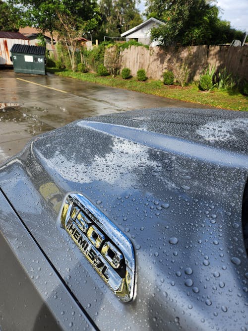 Paint Waterspot Removal & Protection Full Size Kit