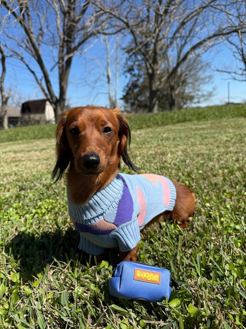 Groovy sweater