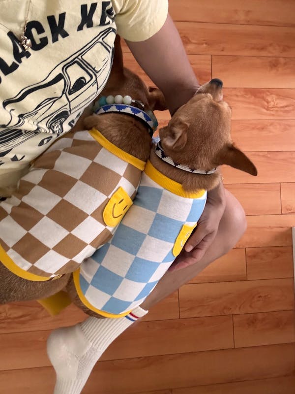 Dog Cotton Smiley Tee