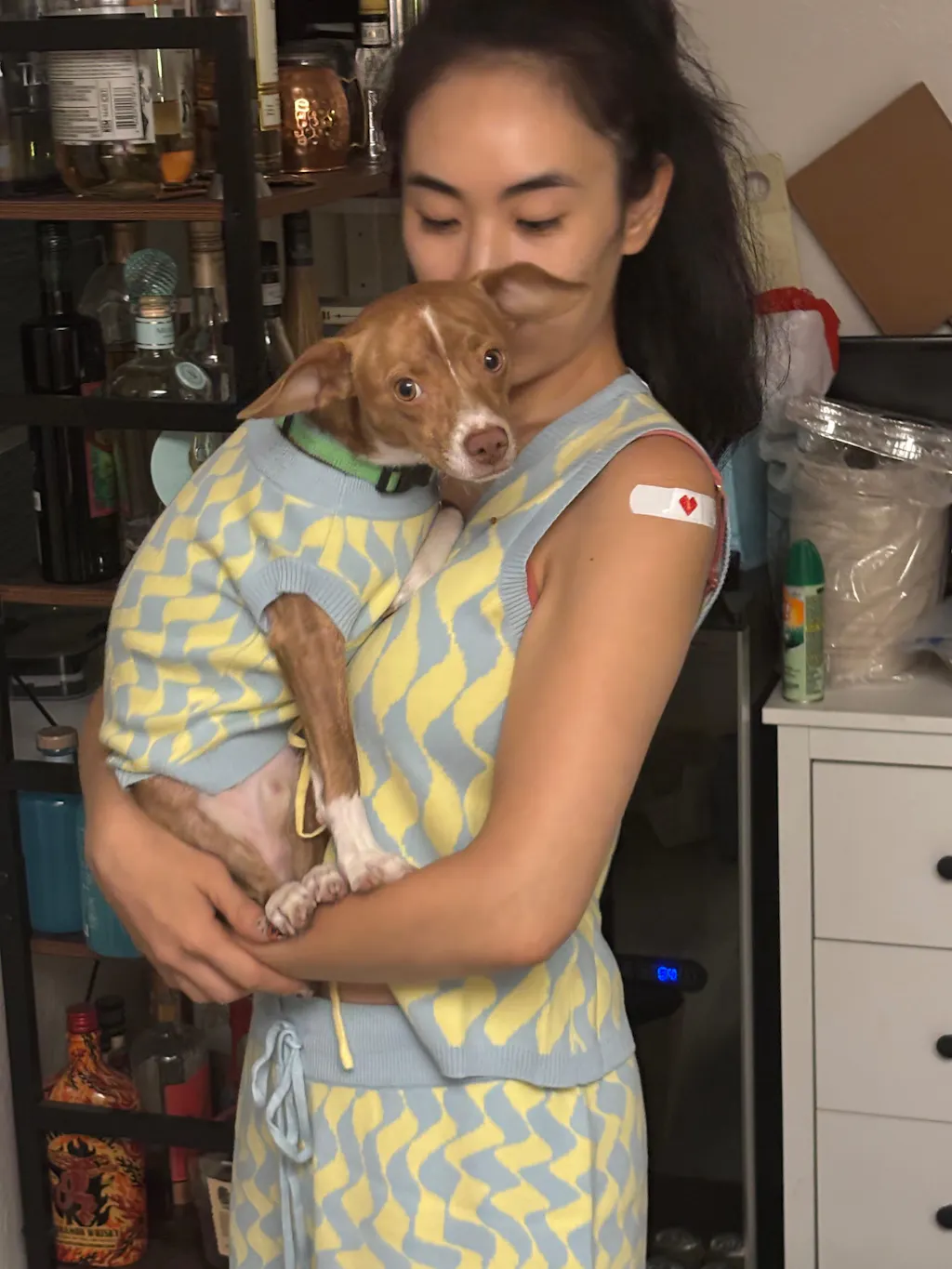 Seaside Swirl Cotton 3-Piece Matching Set For Dog and Dog Mom