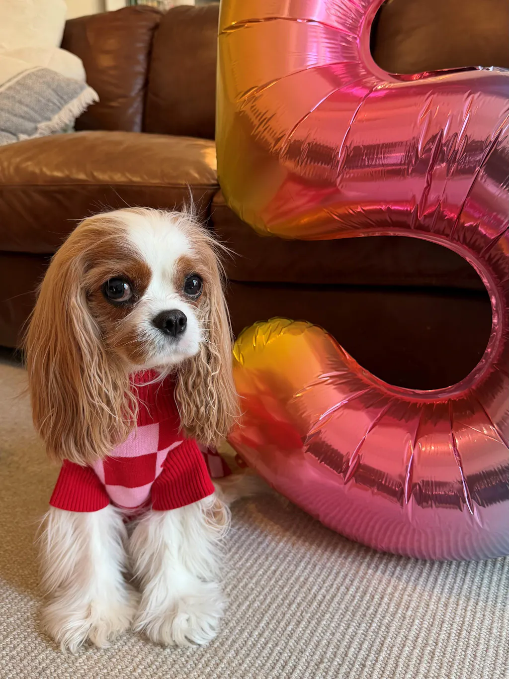 Roll Neck Dog Knitted Love Sweater