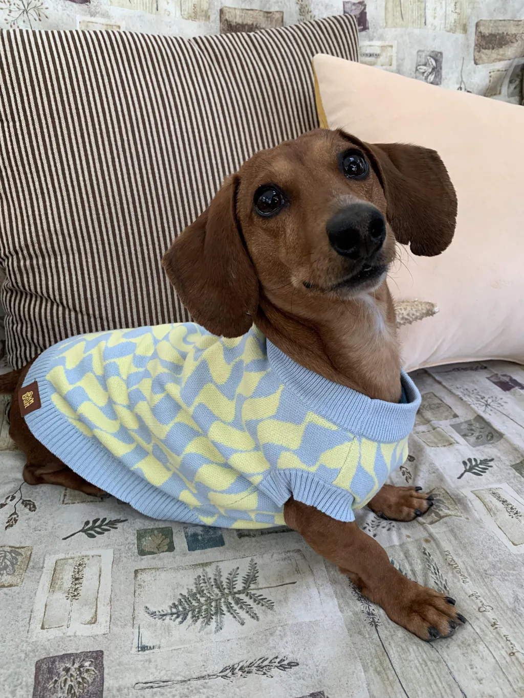 Seaside Swirl Cotton Knitted Dog Vest