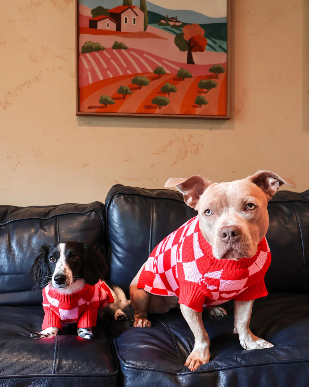 Roll Neck Dog Knitted Love Sweater