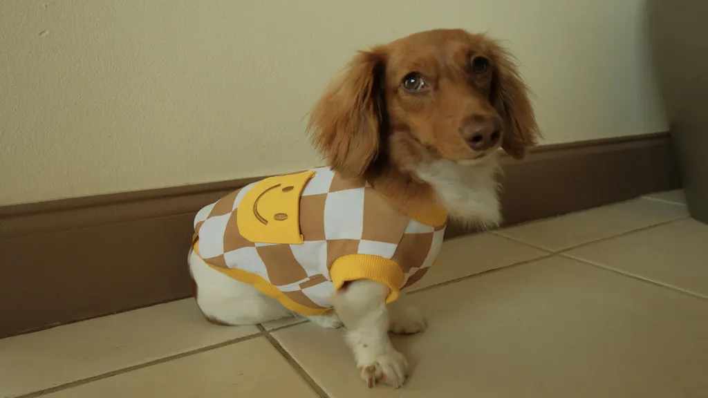Dog Cotton Smiley Tee