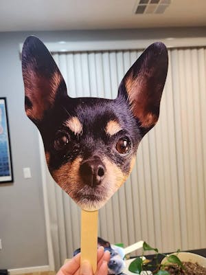 Face on a Stick