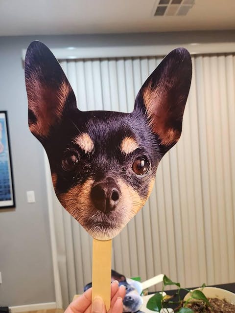 Face on a Stick