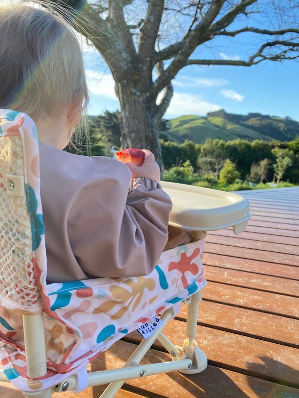 Portable Highchair | Ziggy