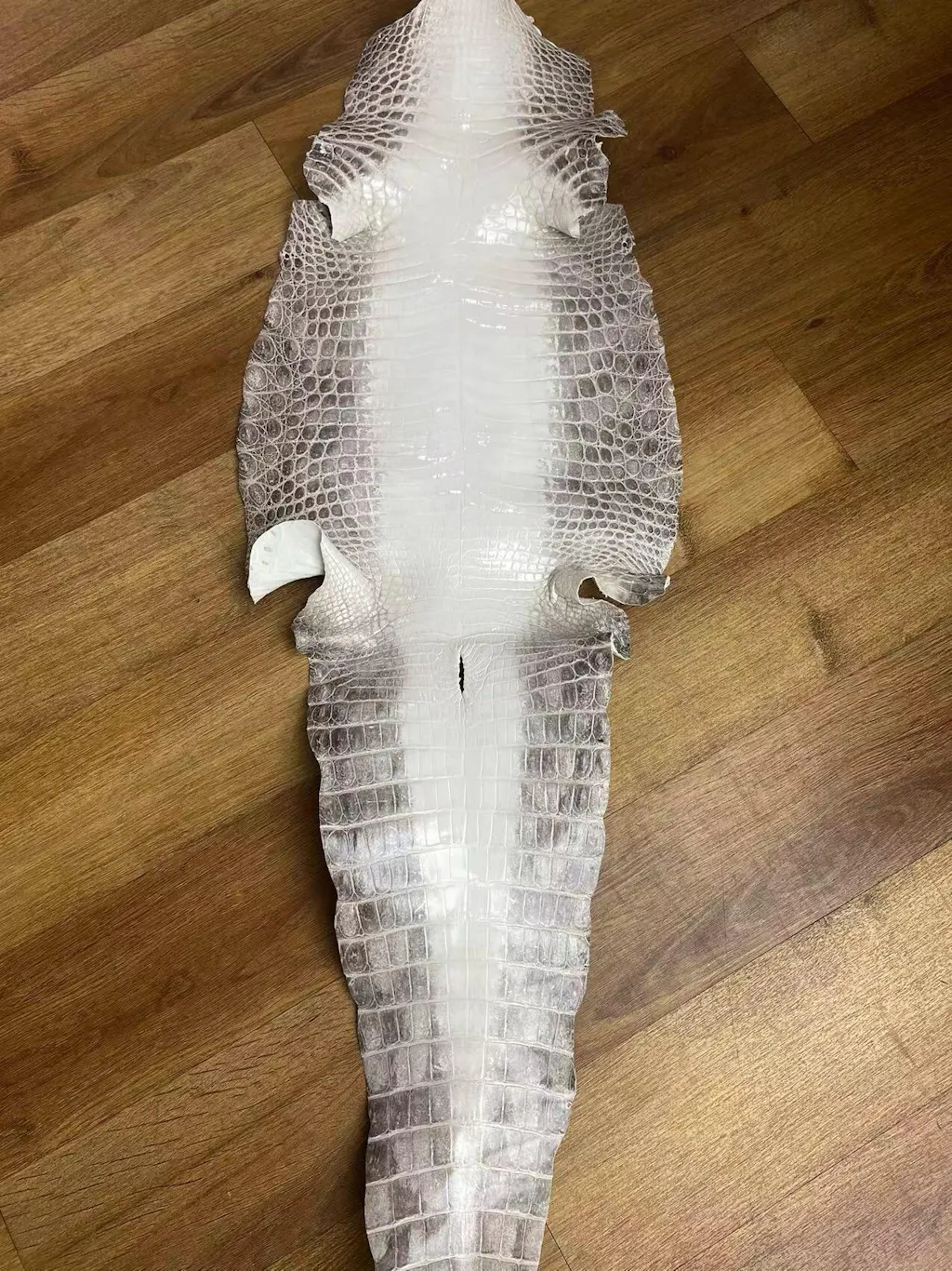 Himalayan Croc Leather (Millennium Finish) – Sunny Exotic Leather