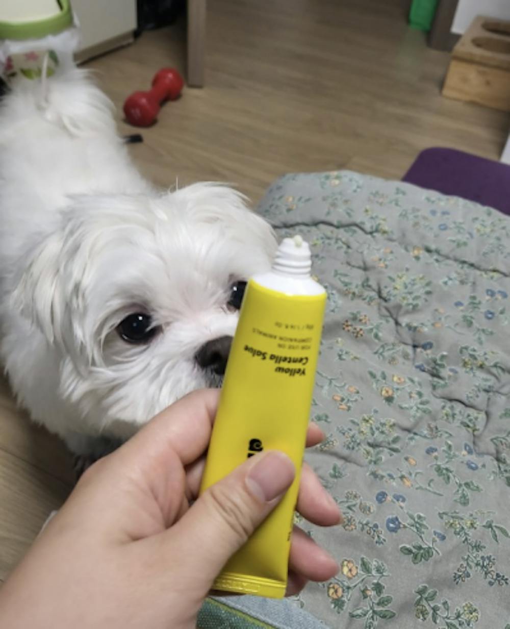 Animark Yellow Centella Salve