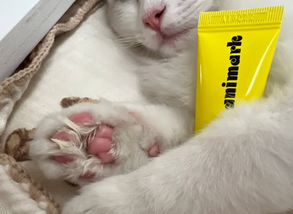 Animark Yellow Centella Salve
