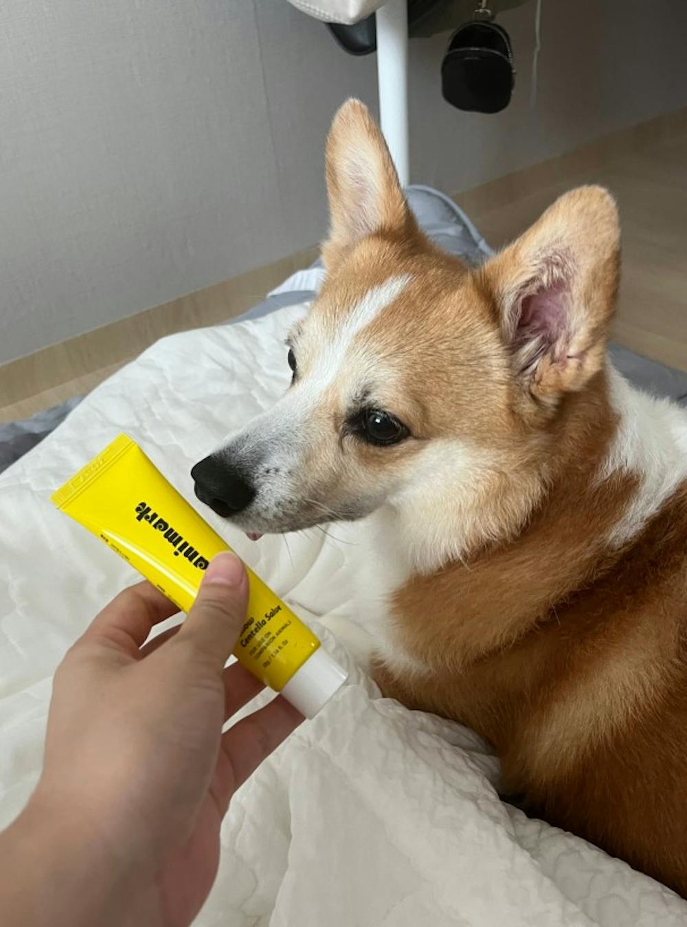 Animark Yellow Centella Salve