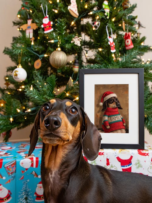 Custom Pet Portraits - Poster/Canvas/Oil Painting - Framed/Rolled