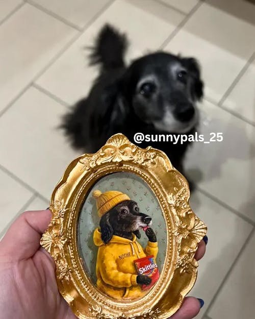Custom Mini Pet Portrait – Baroque Frame & Magnet