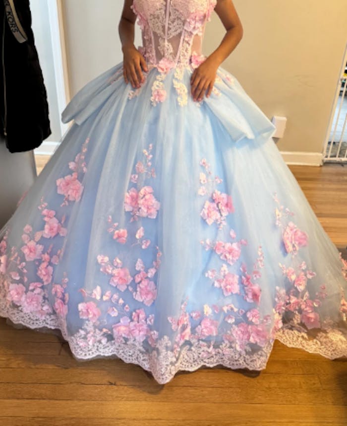Sunnypetal Blue & Pink Off-Shoulder Flower Girl Ball Gown with 3D Floral Appliques