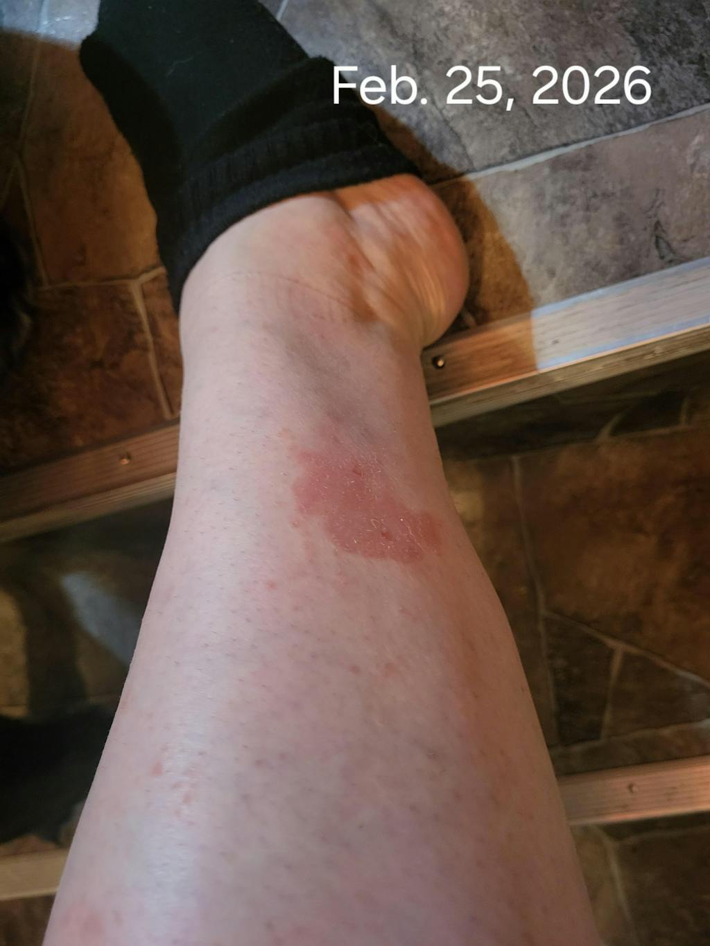 Original Tallow & Honey Balm