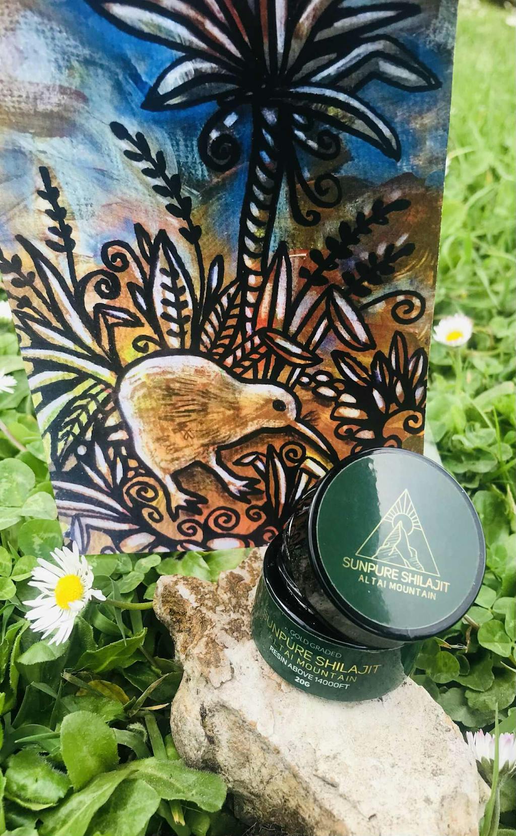 Altai Shilajit Resin 20g