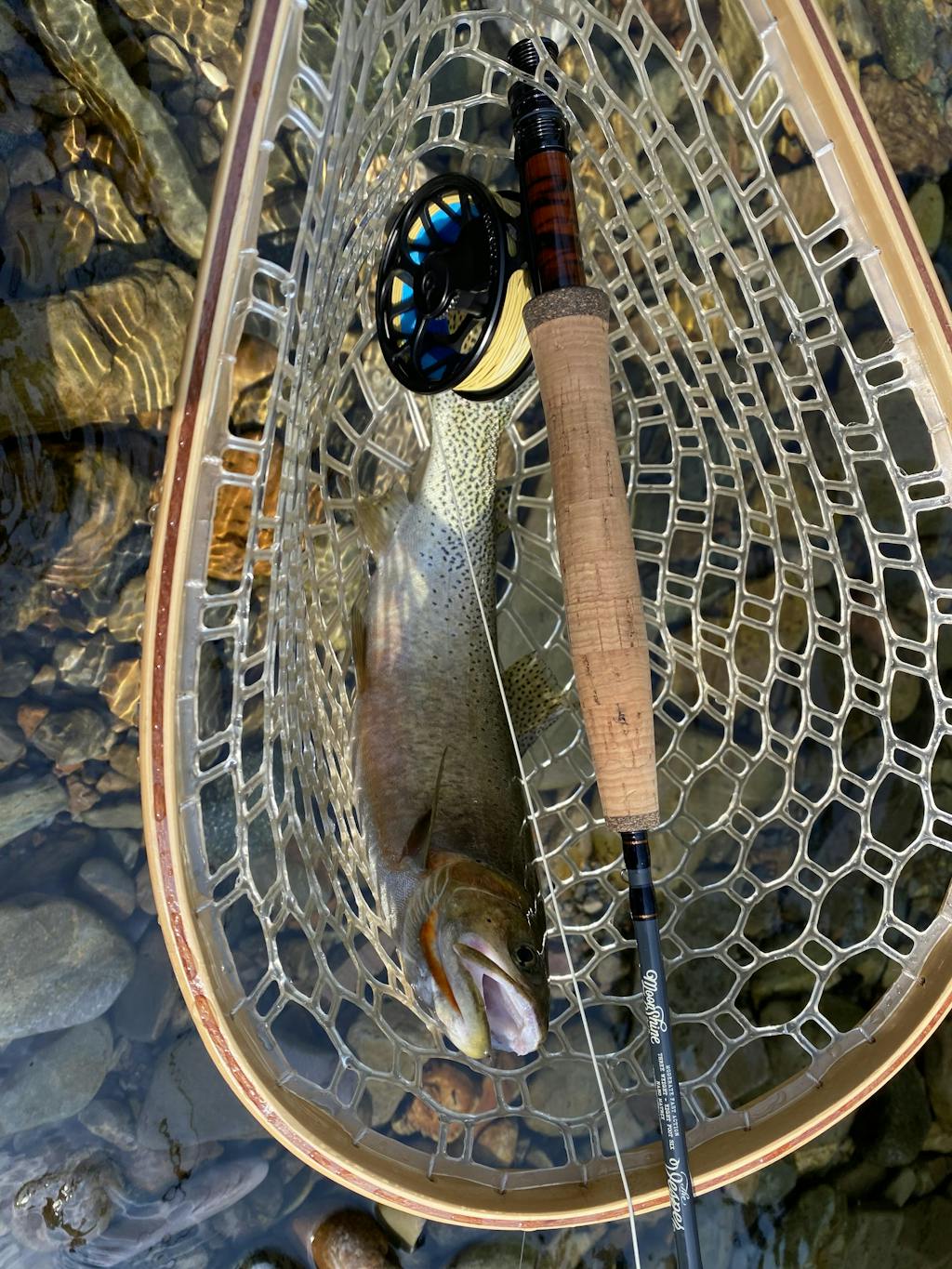 Tapered Fly Fish Leaders Sunray Sunray Fly Fish