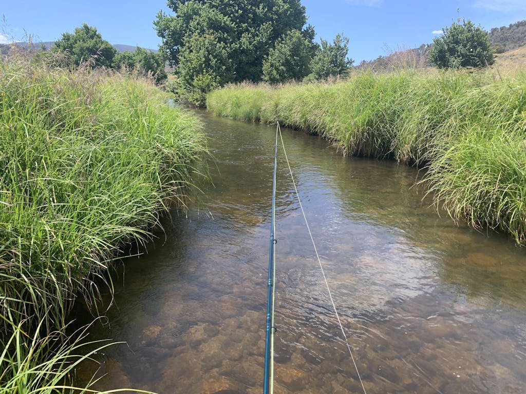 Tapered Fly Fish Leaders Sunray Sunray Fly Fish