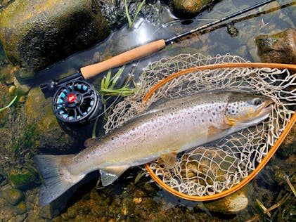 Sunray Technique Super Slim Fly Rod #5 #8 Progressive Action Fly