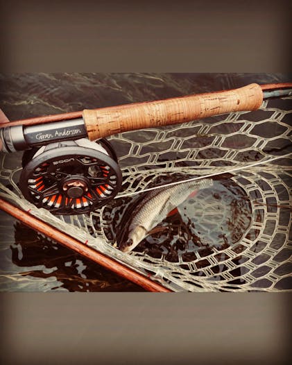 Weight Fly Line Best Fly Fishing Gear 2020 Scientific Anglers