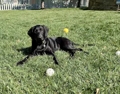 Review picture