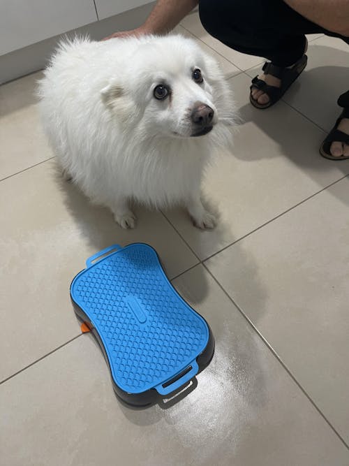 Marley Slowappy Reversible Lick Mat