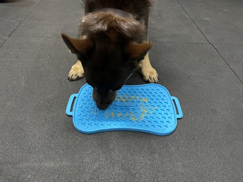 Marley Slowappy Reversible Lick Mat