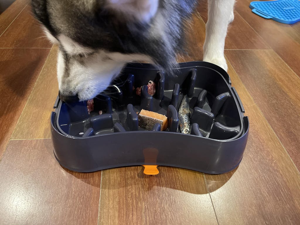 Marley Slowappy Slow Feeder Bowl