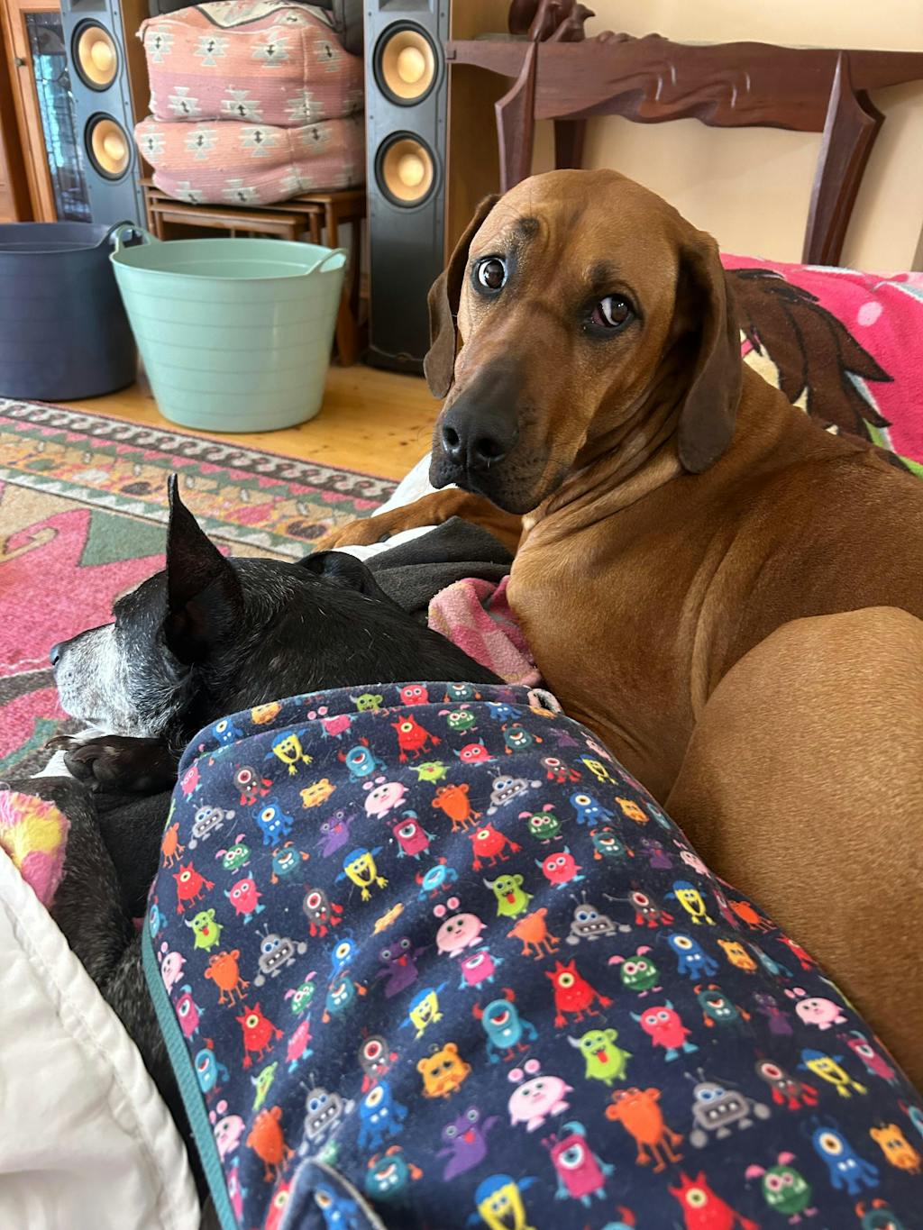 Marley Slowappy Slow Feeder Bowl