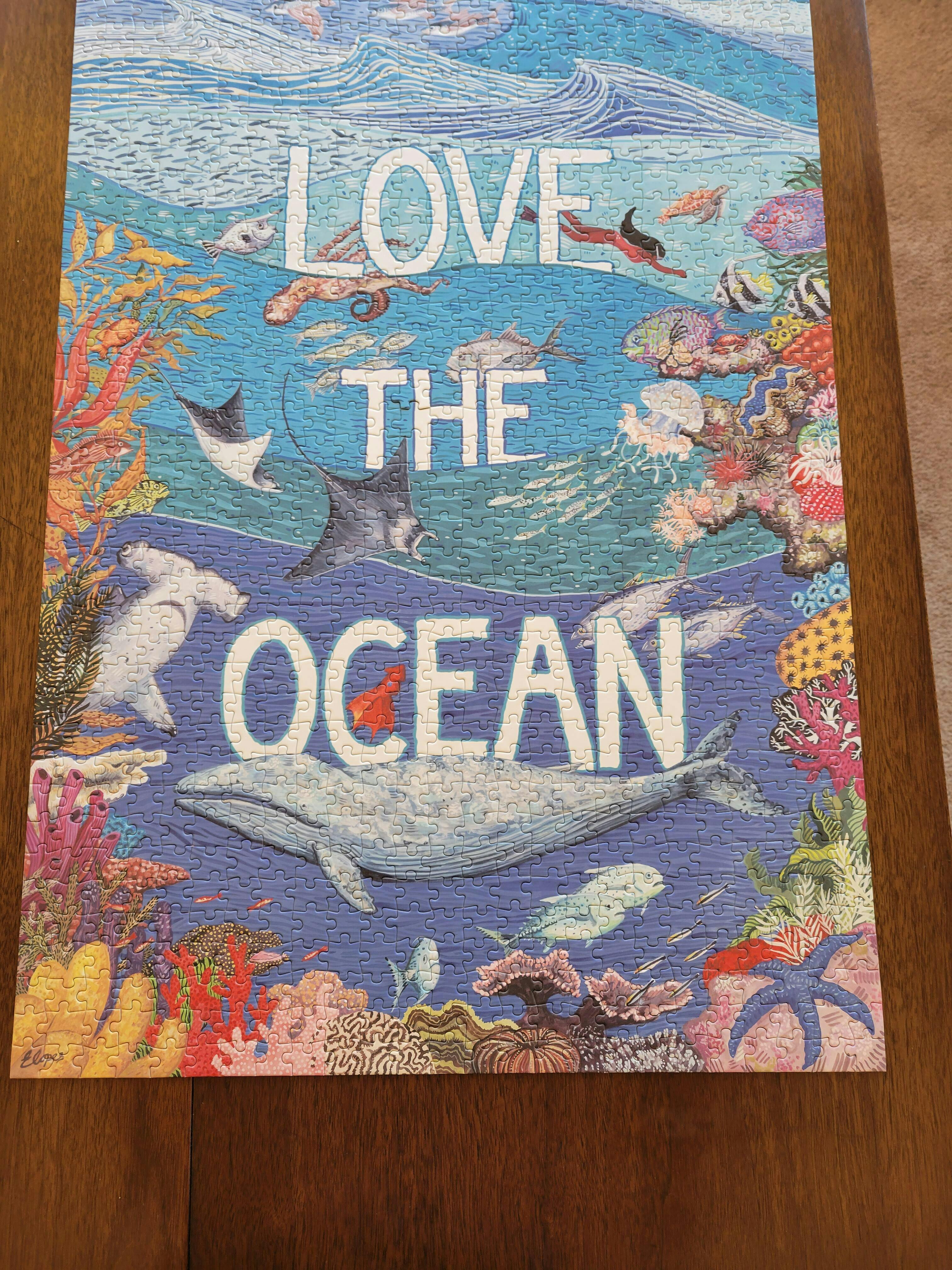 Love the Ocean by Emma Lopes – Surf Shack Puzzles