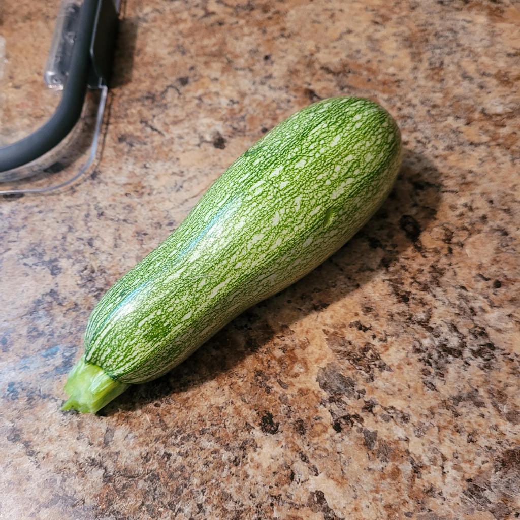 Grey Zucchini Squash Heirloom Seeds, Vegetable Seeds Sustainable