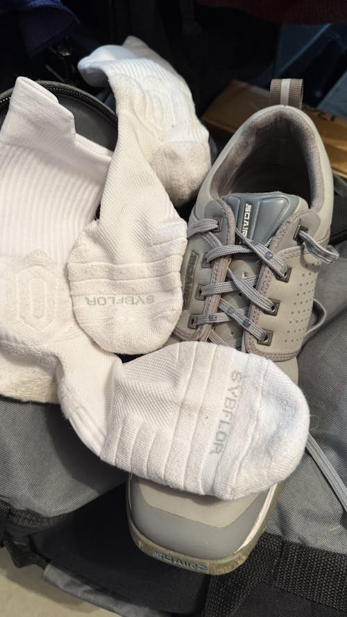 CloudFusion Crew Socks