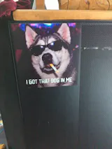User picture