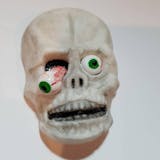 Decomposed Skull - Edible Fondant