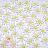 50 White Daisies