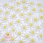 50 White Daisies