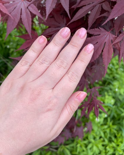 DVOK Cherry Blossom Collection – Sweetie Nail Supply