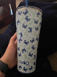 Glacier Stripe Tumbler 32oz