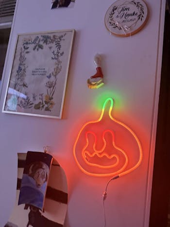 SwitchBot RGBIC Neon Wire Rope Light