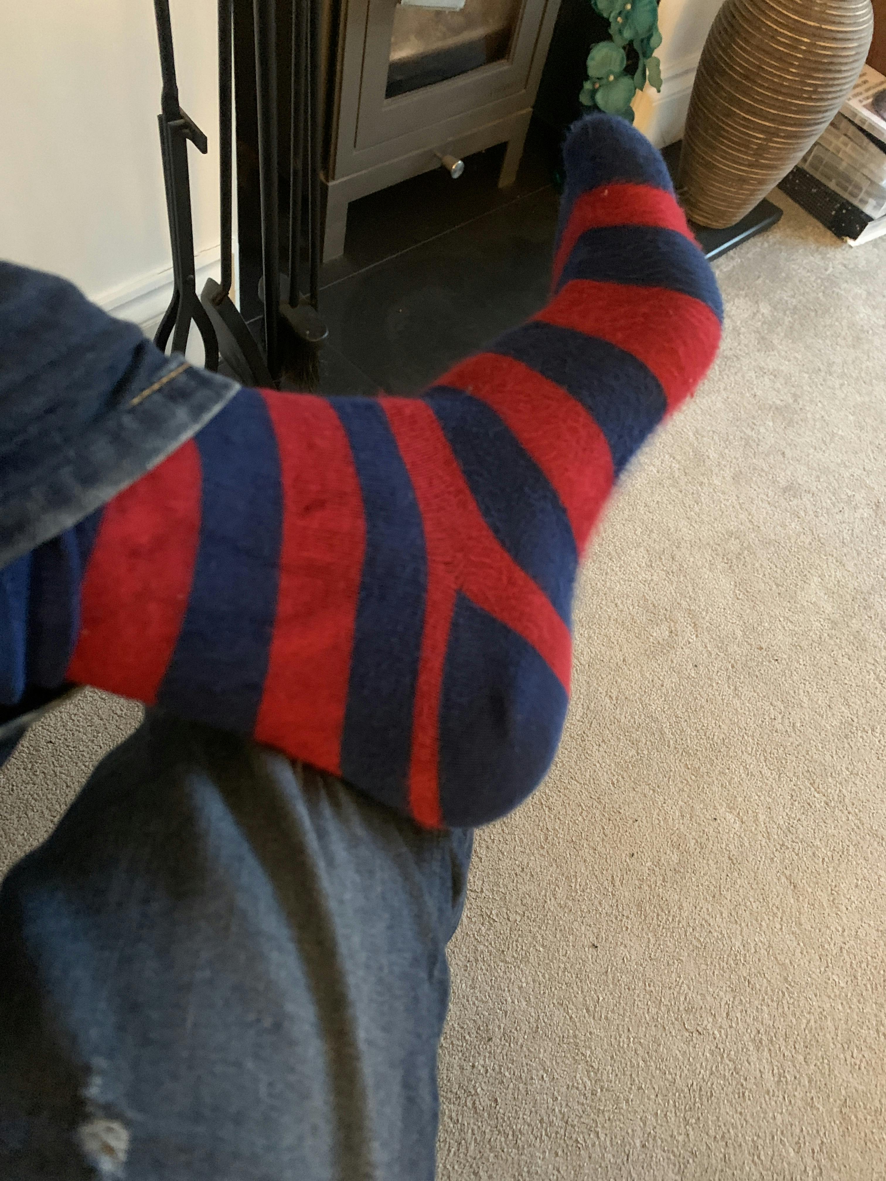 Mr Fox Bamboo Socks – Swole Panda