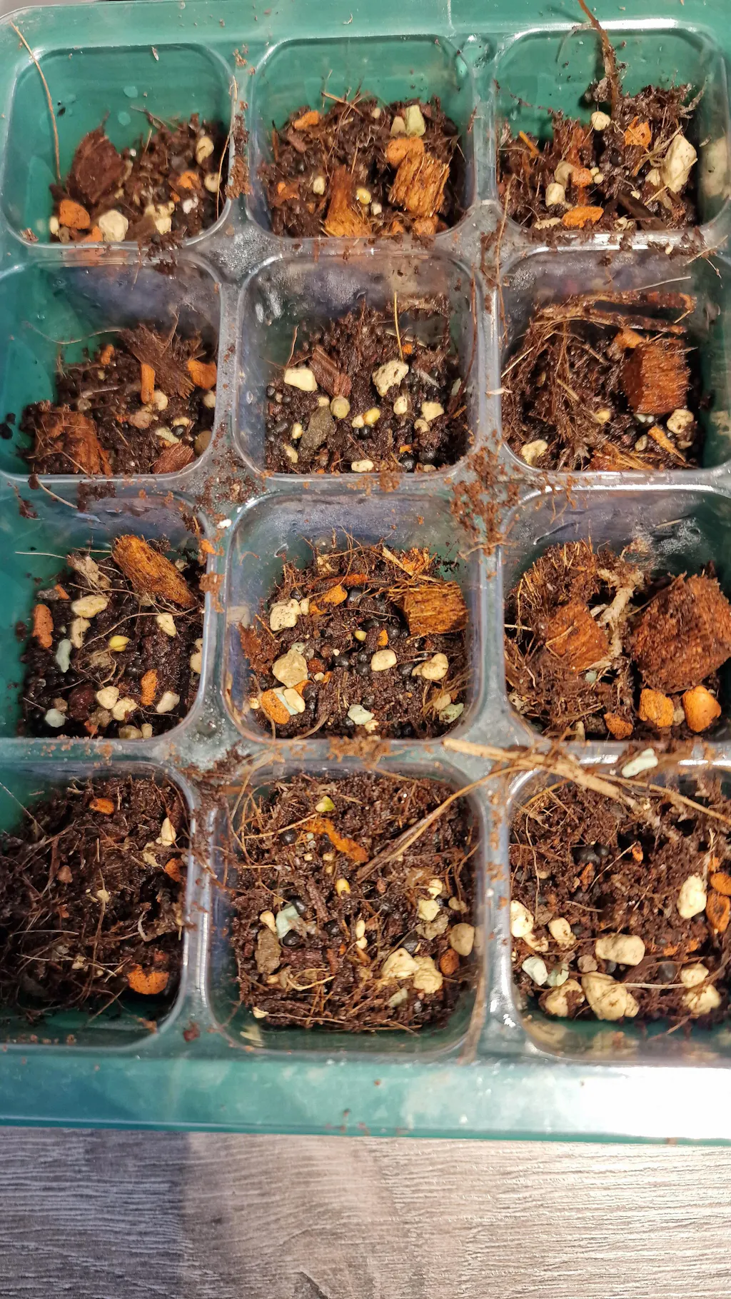 Terrarium mix 515L SYBASoil ABG mix Terreau mix Anti