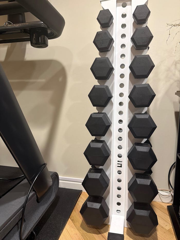 Alpha | 8-Tier Vertical Dumbbell Storage Rack