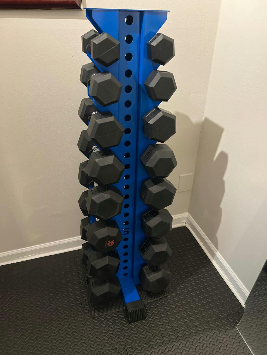 Alpha | 8-Tier Vertical Dumbbell Storage Rack