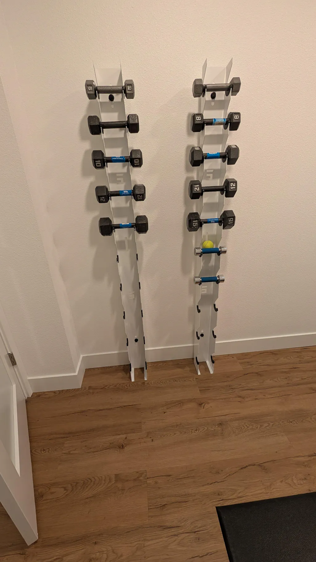 Delta | 10-Tier Vertical Dumbbell Storage Wall/Rack Mount